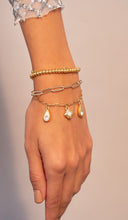 Cargar imagen en el visor de la galería, Pulsera Dijes Varios Con Cristales + Aretes
